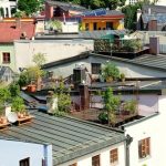 Das Fundament für einen gesunden und heiteren Lebensstil